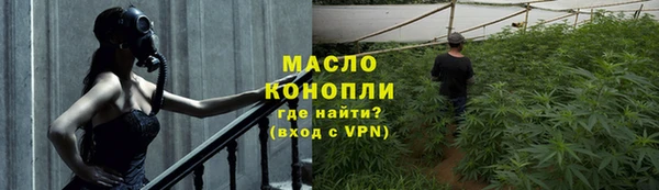 дживик Каменка