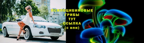 гидра Каменск-Шахтинский