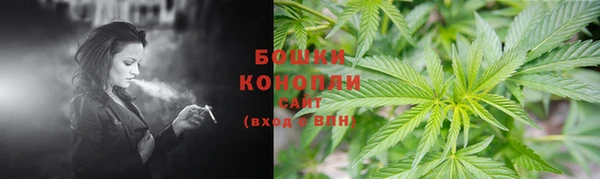 амф Каменногорск