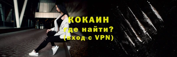 дживик Каменка