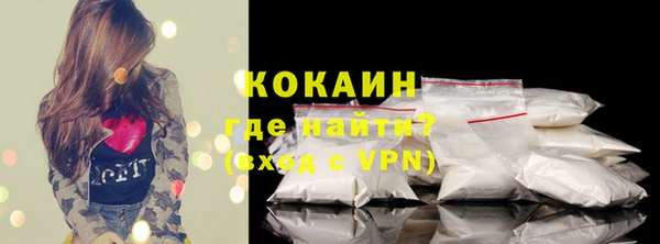 дживик Каменка