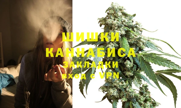 дживик Каменка